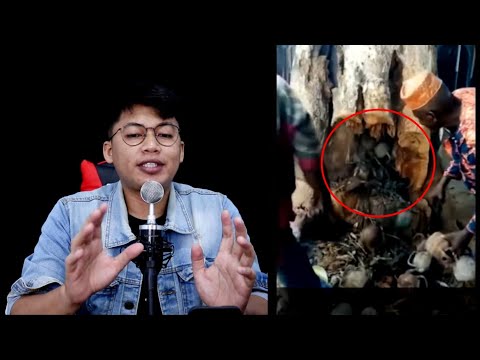 Video: Lelaki Itu Dikebumikan Di Tanah Untuk Menakut-nakuti Petir Darinya - Pandangan Alternatif