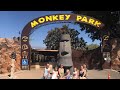MONKEY PARK TENERIFE. TOUR AND REVIEW.