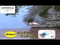コンプリート！ ジッターバグ 使い方 295490-ジッターバグ 使い方