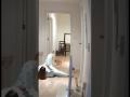 Did the CAT push her? (Smart Camera Footage) #Shorts #Cat #CCTV