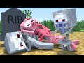 The minecraft life of Skeleton | Sad Story | Minecraft animation