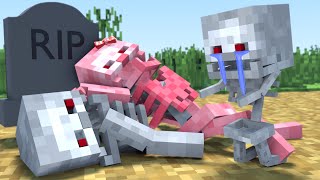 The minecraft life of Skeleton | Sad Story | Minecraft animation