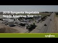 Syngenta vegetable seeds americas tour 2019