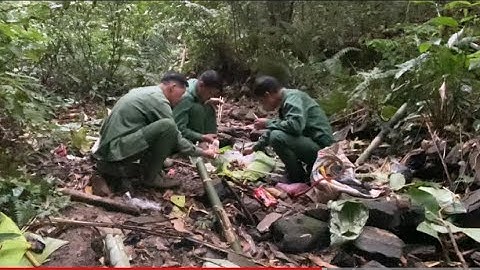 Ae đi thăm bẫy tiếp theo được khá nhiều hàng |Rừng núi Bắc Kạn