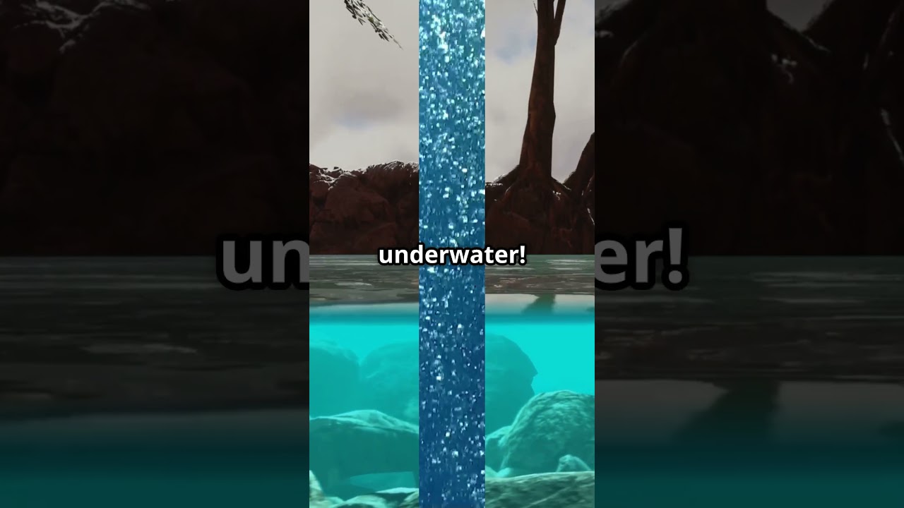 🕷️ Water Spiders Masters of the Underwater Air Bubble 🌊💨