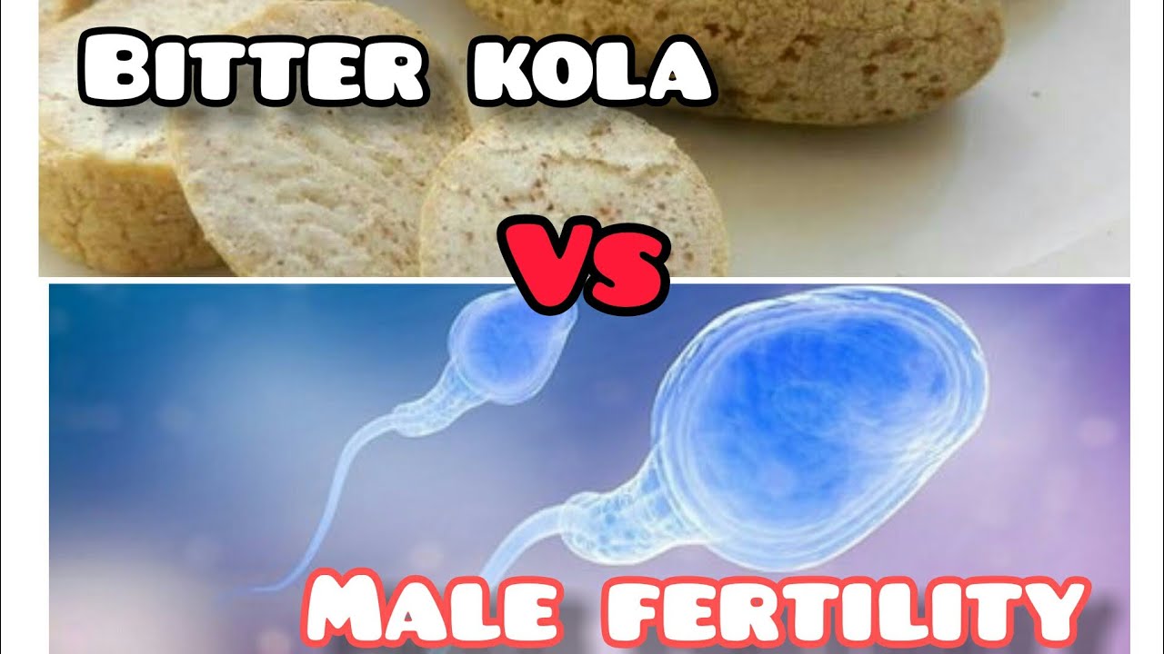 Reason's All men should eat bitter kola daily YouTube