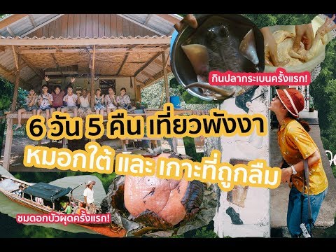 Backpack เที่ยว พังงา ภูตาจอ เกาะหมากน้อย เกาะยาวน้อย |  ISARA KORKOYY