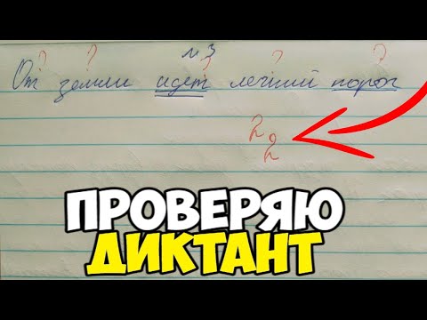Проверяю контрольный диктант по русскому языку 4 класс