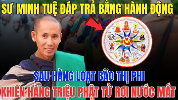 Xót Xa Tột Cùng: Sư Minh Tuệ Đáp Trả Thị Phi Bằng Hành Động Khiến Cả Nước Lặng Người!