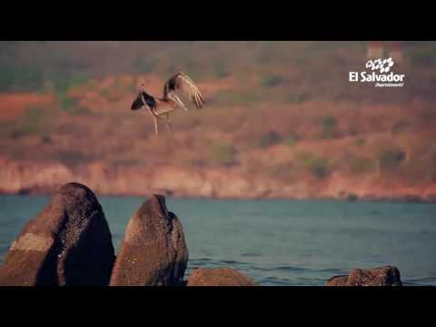 El Salvador Impresionante   Tour de Pesca Artesanal