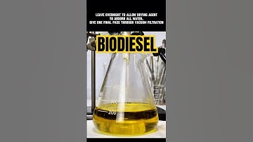 Making Biodiesel