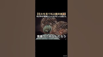【花火を見て叫ぶ藤井風🎇】叫び声が想像以上に女子だった風さん #藤井風 #fujiikaze #shorts #instalive #藤井風instagram #藤井風instagramストーリー