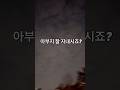 럭키할아버지 기일 럭키아빠의 바램 #댕댕이 #골든리트리버 #반려견 #강아지