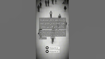 (وإن ربك ليعلم ما تكن صدورهم وما يعلنون) #القرآن_الكريم #احمد_النفيس #اكسبلور #حالات_واتس #تلاوات