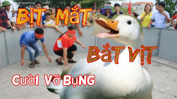 bịt mắt bắt vịt không có gì vui đến nôi cười dau bụng nhung này