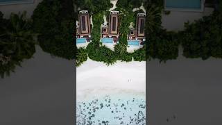 Maldives luxury resort in 5 seconds - our 3rd day here 👌🏽