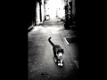 Back Alley Cat