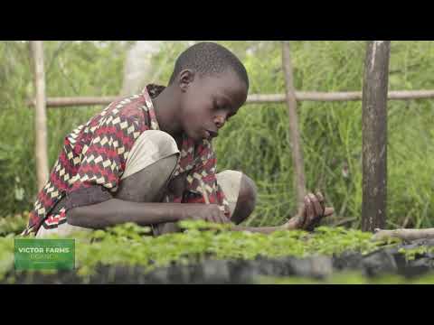 Why should one invest in passion fruit nursery beds