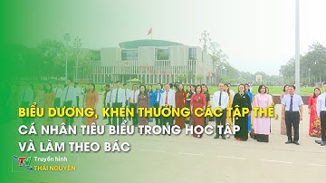 Biểu dương, khen thưởng các tập thể, cá nhân tiêu biểu trong học tập và làm theo Bác |Thái Nguyên TV