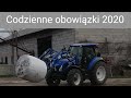 Codzienne obowiązki 2020