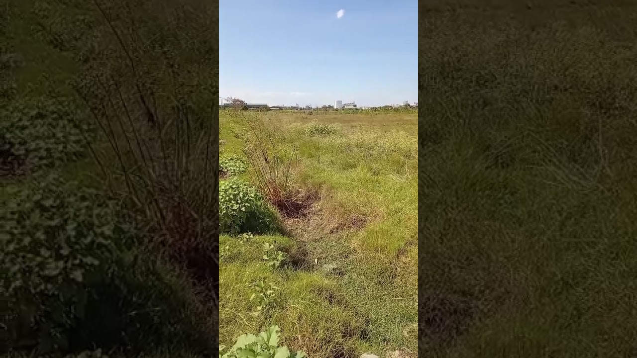5 Acres Industrial Plot for Sale | Thika Municipality