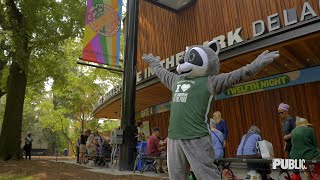 Romeo The Raccoon Is Here The Public Theater
