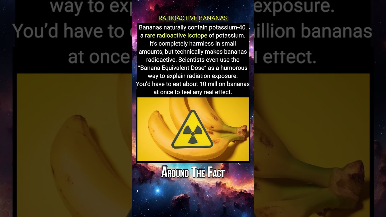 Are Bananas... Radioactive? 🍌☢️