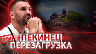 Пекинец «Перезагрузка» / Что вас ждёт на канале Кости Пекинца?