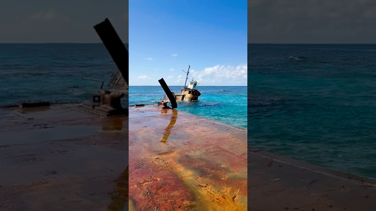 Shipwreck in The Bahamas #sailingfamily #boatlife #familyadventure