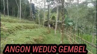 Angon Wedus Gembel