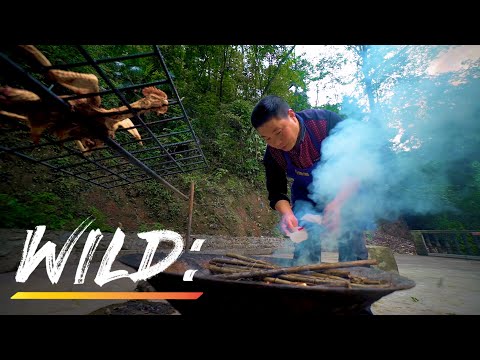 We Killed And Ate A Chicken In The Jungle In China (WILD: Episode 2)
