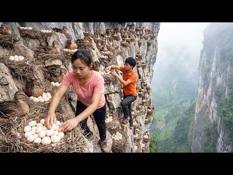 100 Días Cosechando 1 000 Huevos de Pato en el Bosque, Vendiéndolos en el Mercado y Luego Cocinando