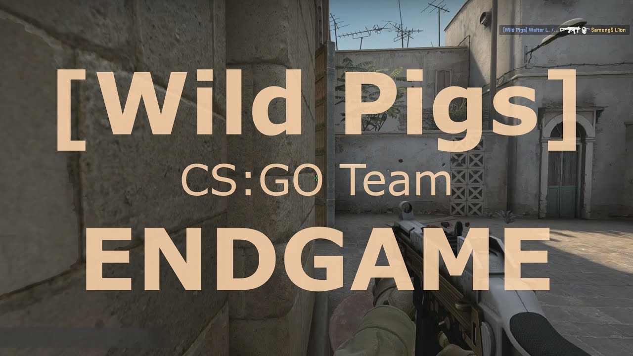 [CS:GO] Wild Pigs - ENDGAME | Player Highlight History - YouTube