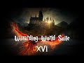 Wizarding World Suite XVI: The Secrets Of Dumbledore | Heartfelt, Emotional, Relaxing and Magical