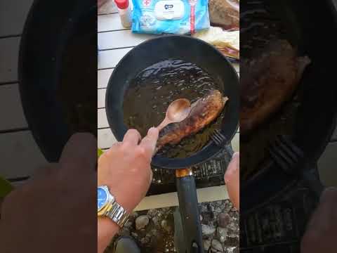 Таёжная Романтика. Жареный