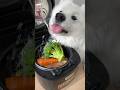 ポテトサラダ風ご飯つくったら爆食してくれました！卵入れるの忘れてた…