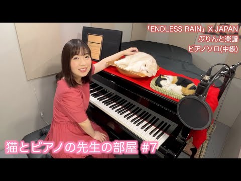 猫とピアノの先生の部屋【7】ENDLESS RAIN/XJAPAN ぷりんと楽譜 ピアノソロ(中級) 映画『ZIPANG』テーマソング #piano  #cat #ぽてお