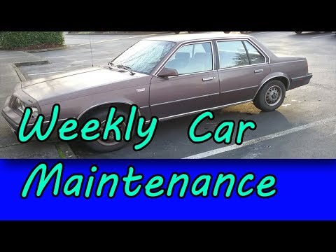 1987 Oldsmobile FIRENZA Weekly Car Maintenance Repair Tips