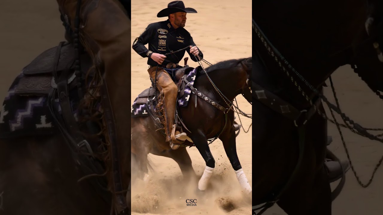 HICALIBER CAT   REINED COW HORSE