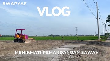 Jalan-jalan Pagi Sembari Menikmati Pemandangan Sawah