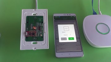 How to pair Nue ZigBee Switch with a Nue Zigbee Bridge