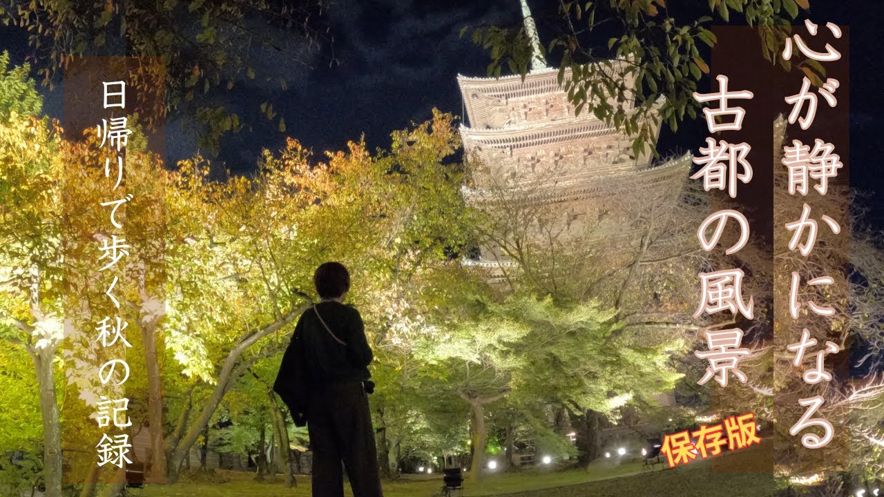 心が静かになる 古都の秋風景｜日帰りで歩く 京都・奈良7選　#京都 #奈良#瑠璃光院#曽爾高原#日帰り旅行 #穴場スポット #60代 #保存版 #紅葉 #kyoto #紅葉ライトアップ #京都散歩 