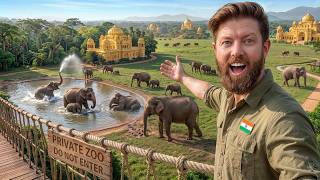 Private Tour of an Indian Billionaire's Secret Elephant Sanctuary