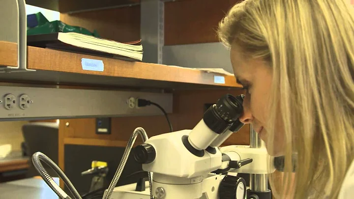 Lorene Nelson talks about MS Research