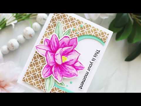 No Line Coloring & Creative Die Cutting