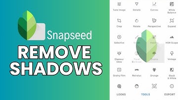 How to Get Rid of Shadows in SnapSeed 2024?