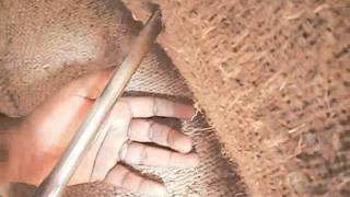 Famous Seed sampling using sleeve trier.wmv Net Worth