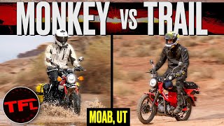 You Don't Need to Spend $30K to Have an Awesome OffRoad Adventure! Honda MiniMotos Go Wild!