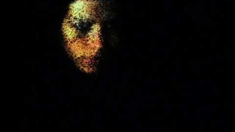 Interactive installation "Memory II"