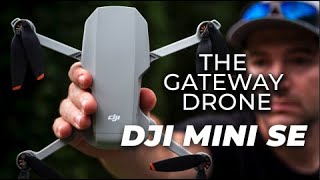 DJI Mini SE Review | Best Budget Drone - EVER